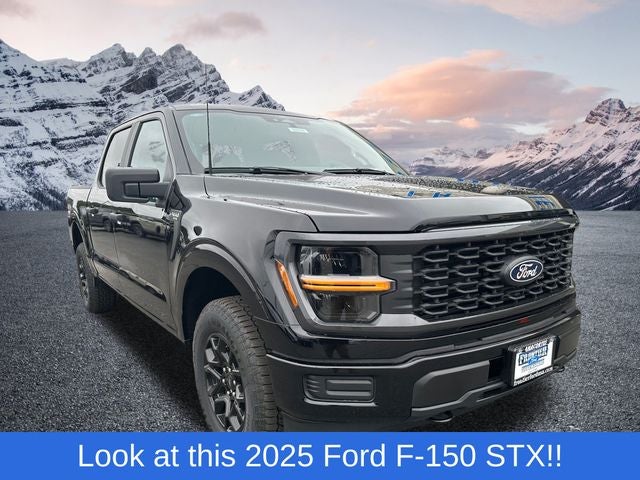 2025 Ford F-150 STX
