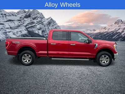 2022 Ford F-150 XLT