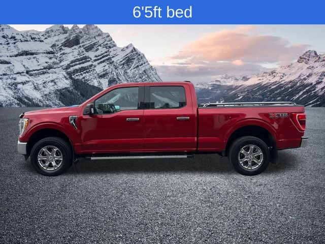 2022 Ford F-150 XLT