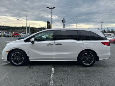 2024 Honda Odyssey Elite